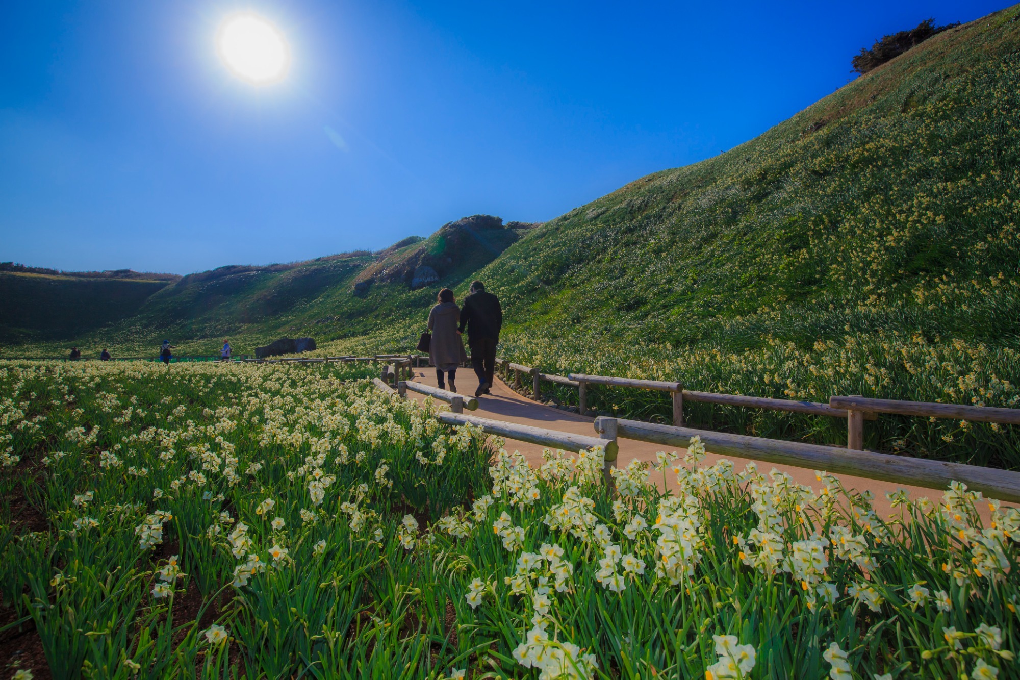 写真：鶴岡八幡宮