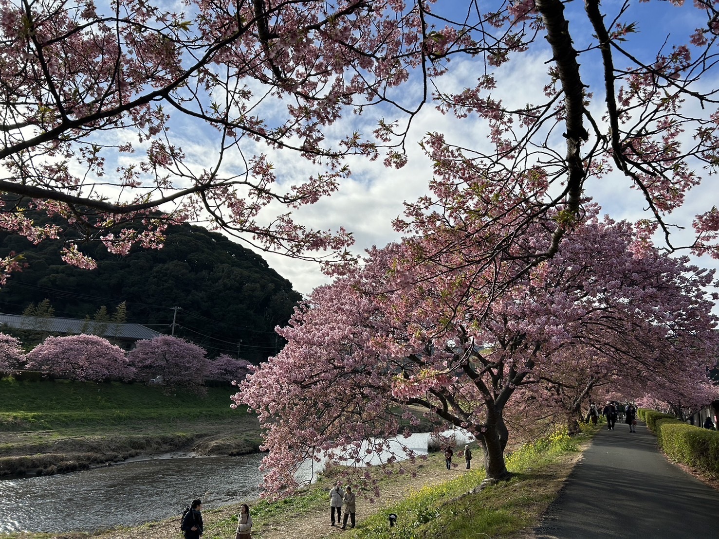 写真：鶴岡八幡宮
