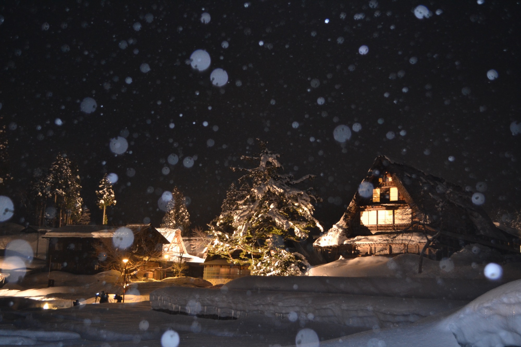 A．EXPO2025大阪・関西万博大阪１泊ツアー