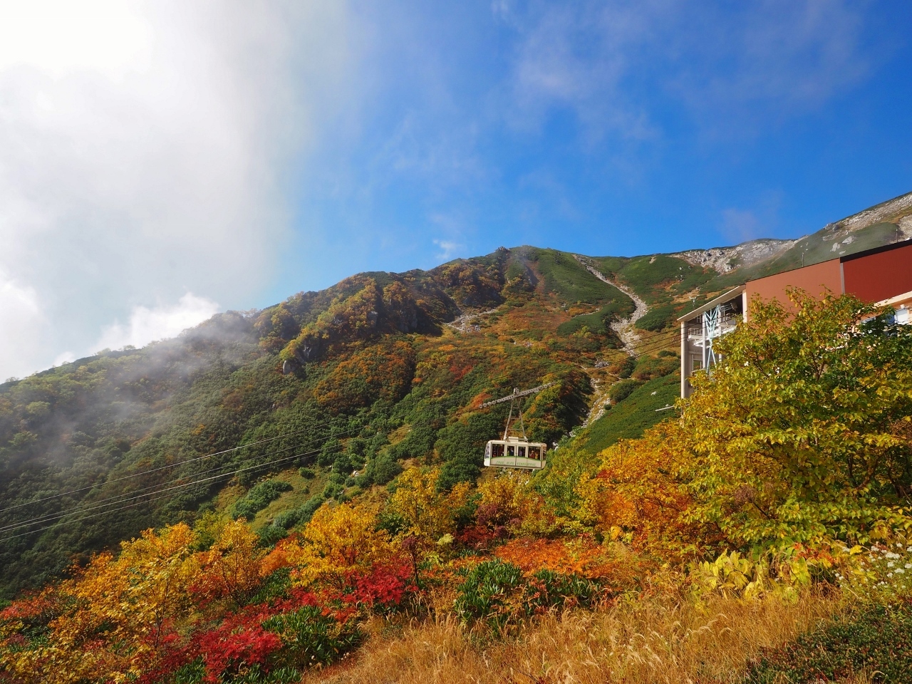写真：鶴岡八幡宮