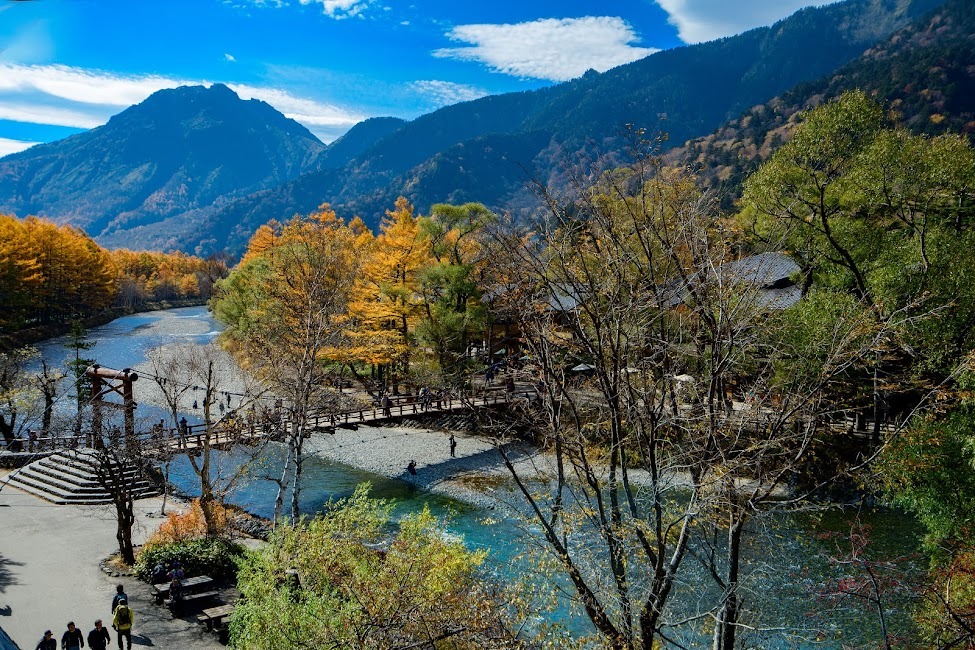 写真：鶴岡八幡宮
