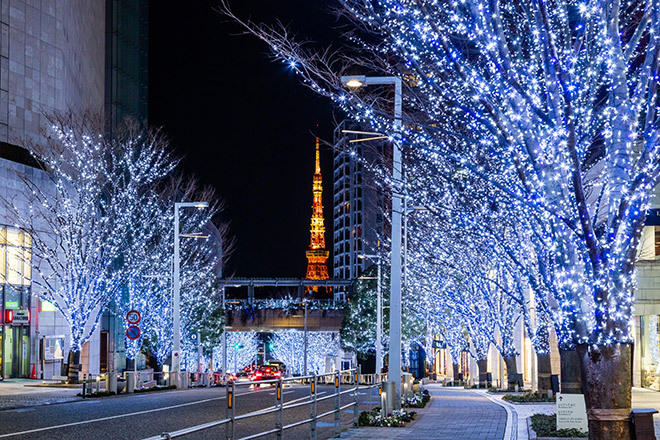 写真：鶴岡八幡宮