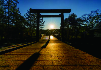 写真：鶴岡八幡宮