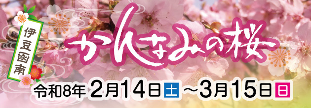 写真：鶴岡八幡宮