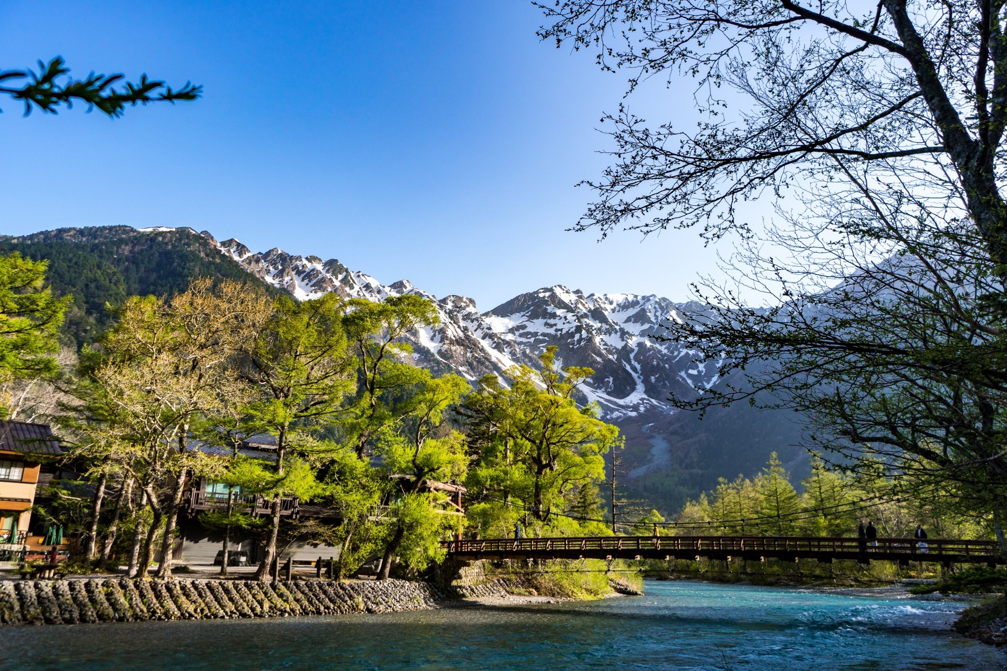 写真：鶴岡八幡宮