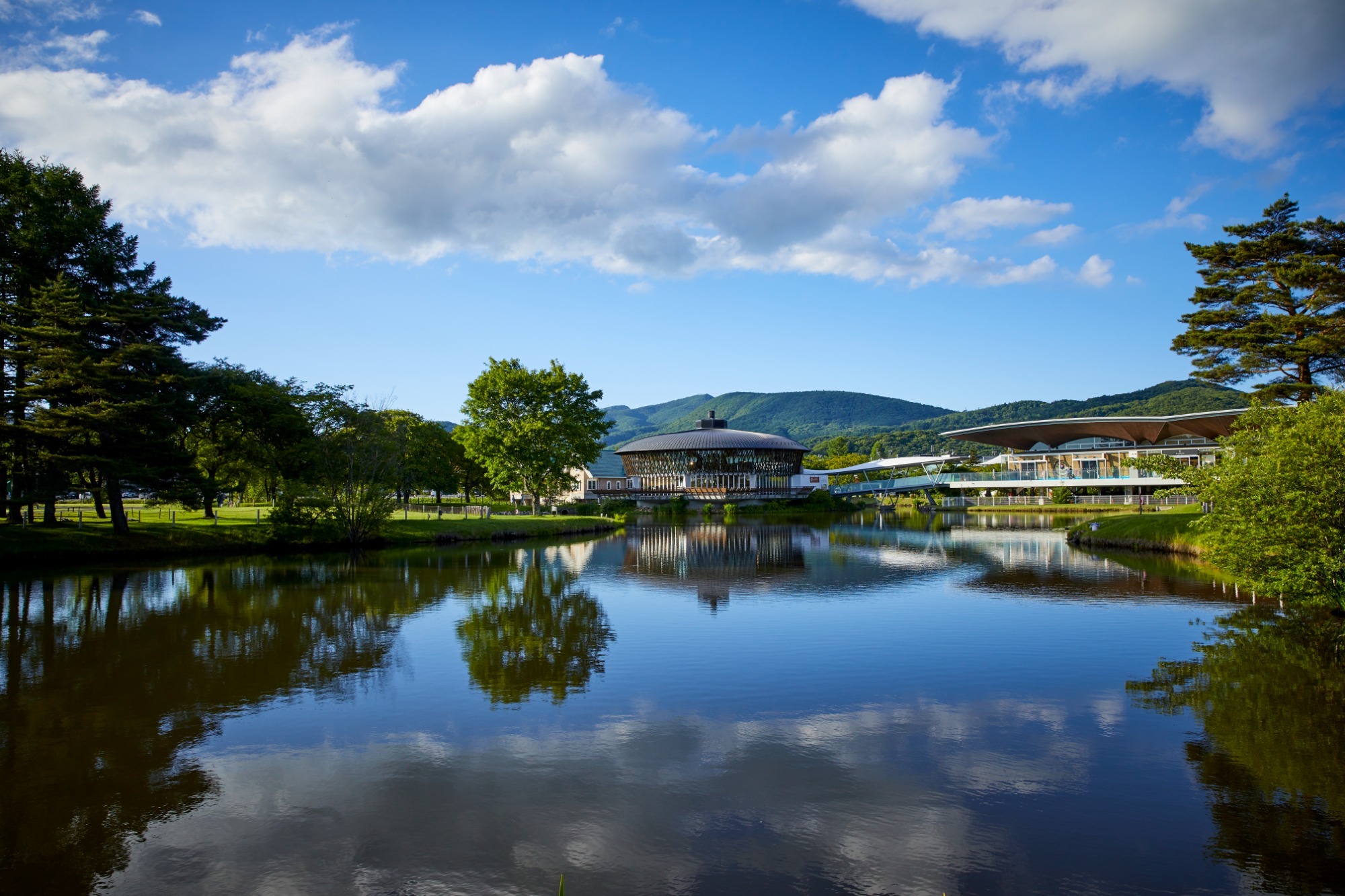 写真：鶴岡八幡宮