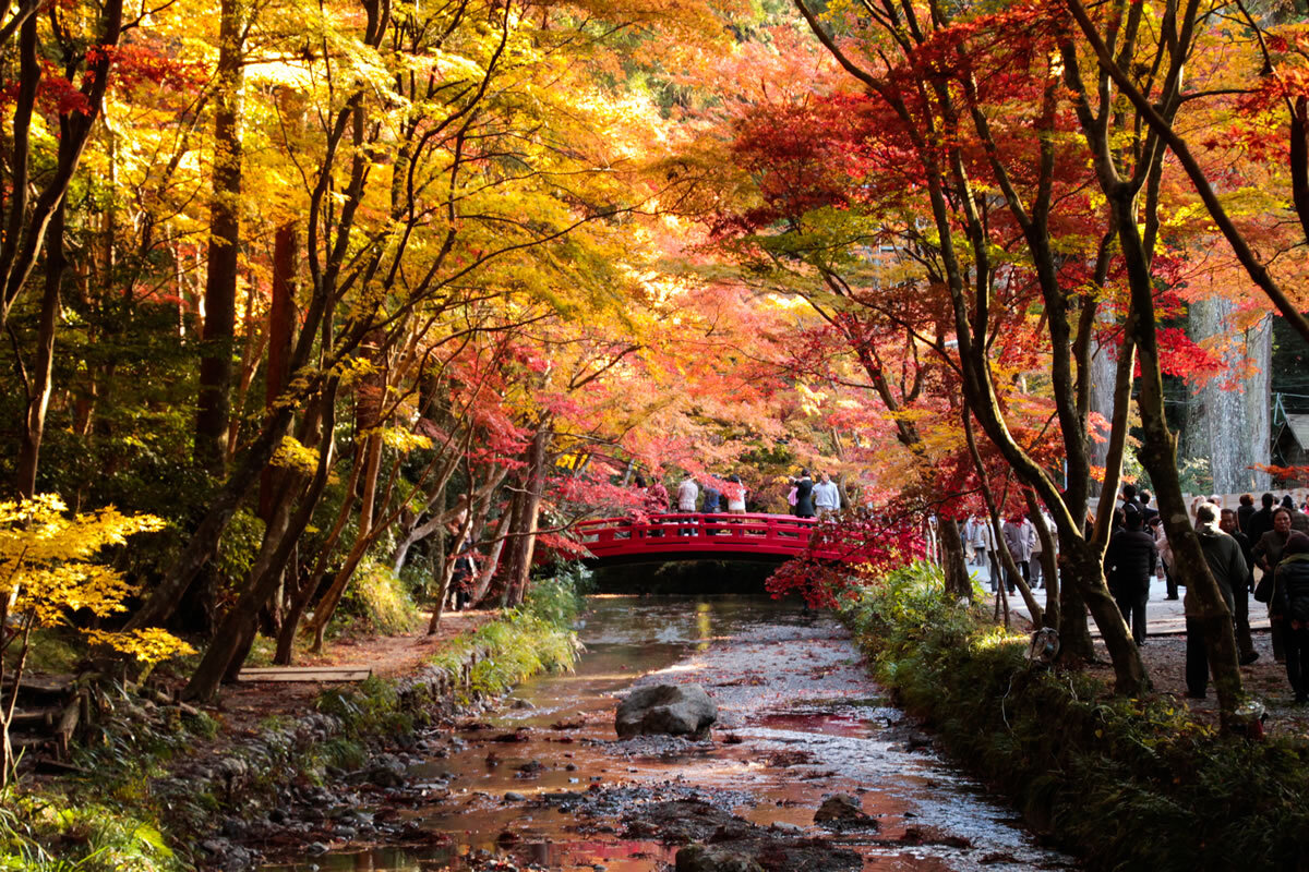 写真：鶴岡八幡宮